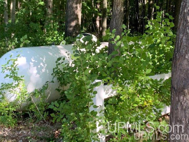 145 Bates-Amasa Road Iron River, MI 49935 - Photo 31 of 36