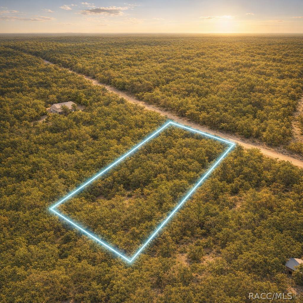 0 Key Deer Road Perry, FL 32348 - Photo 4 of 18 Gallery Image 4