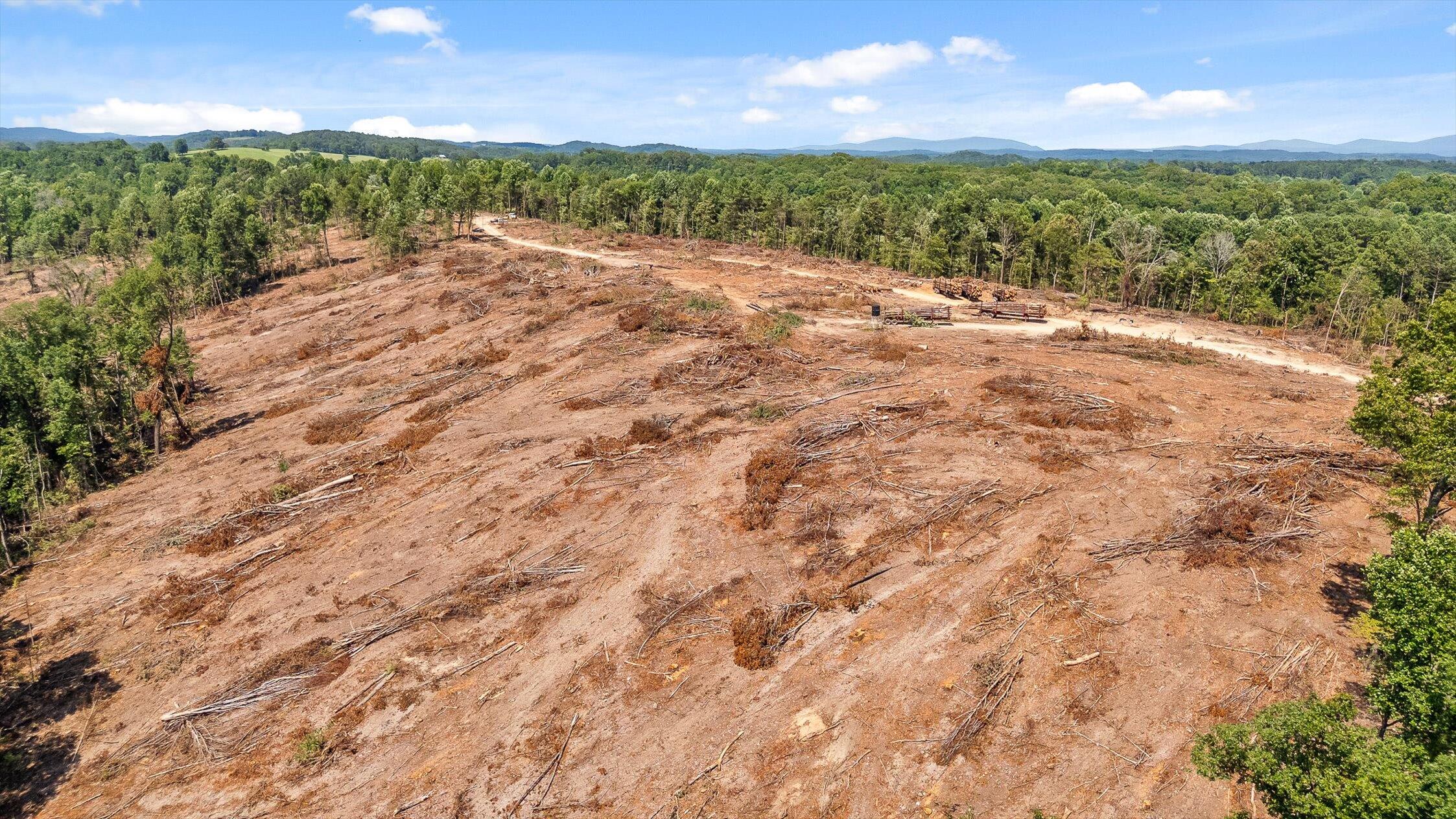 3 Wheeler Dam Road Cohutta, GA 30710 - Photo 5 of 28 30-Wheeler Dam-29