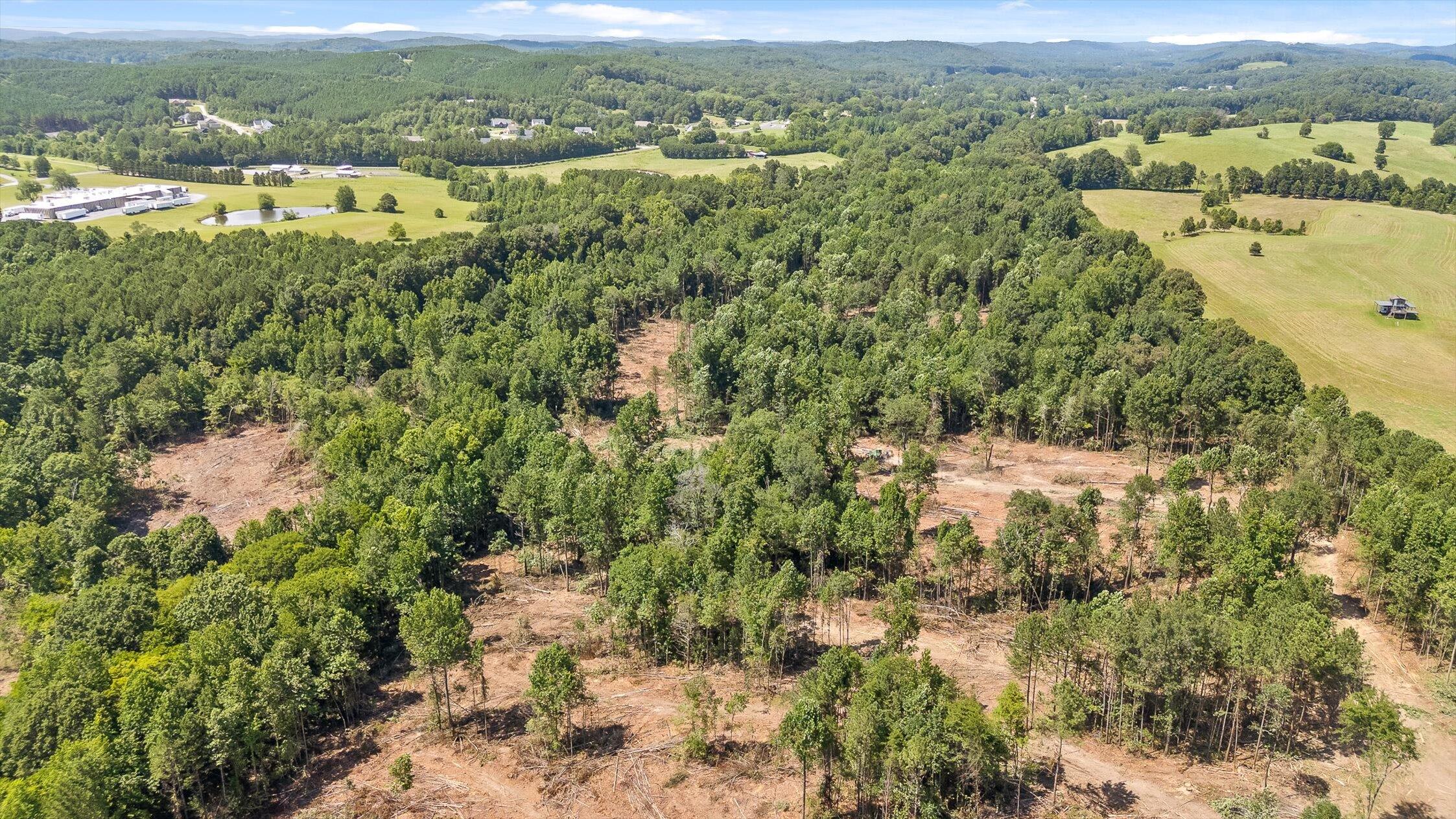 3 Wheeler Dam Road Cohutta, GA 30710 - Photo 7 of 28 21-Wheeler Dam-20