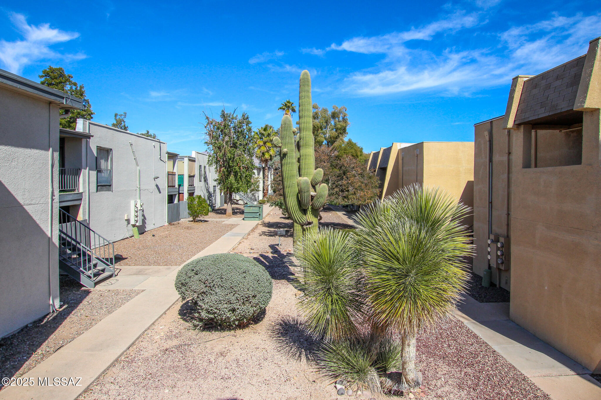 1620 North Wilmot Road, Unit P288 Tucson, AZ 85712 - Photo 28 of 32