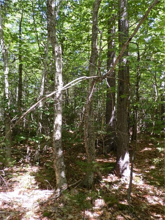 Lot 63 Eleanor Mae Road Deblois, ME 04622 - Photo 21 of 23 Photo