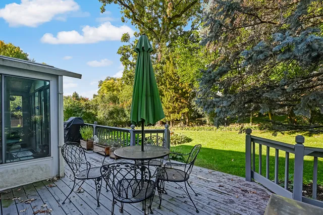 a view of green field with plants and trees