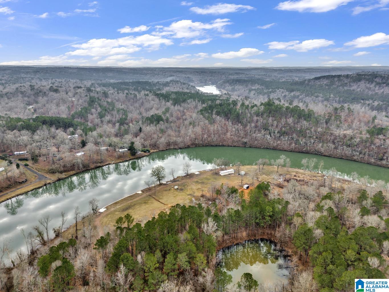 2222 Alliance Road, Unit 1 Quinton, AL 35130 - Photo 5 of 12