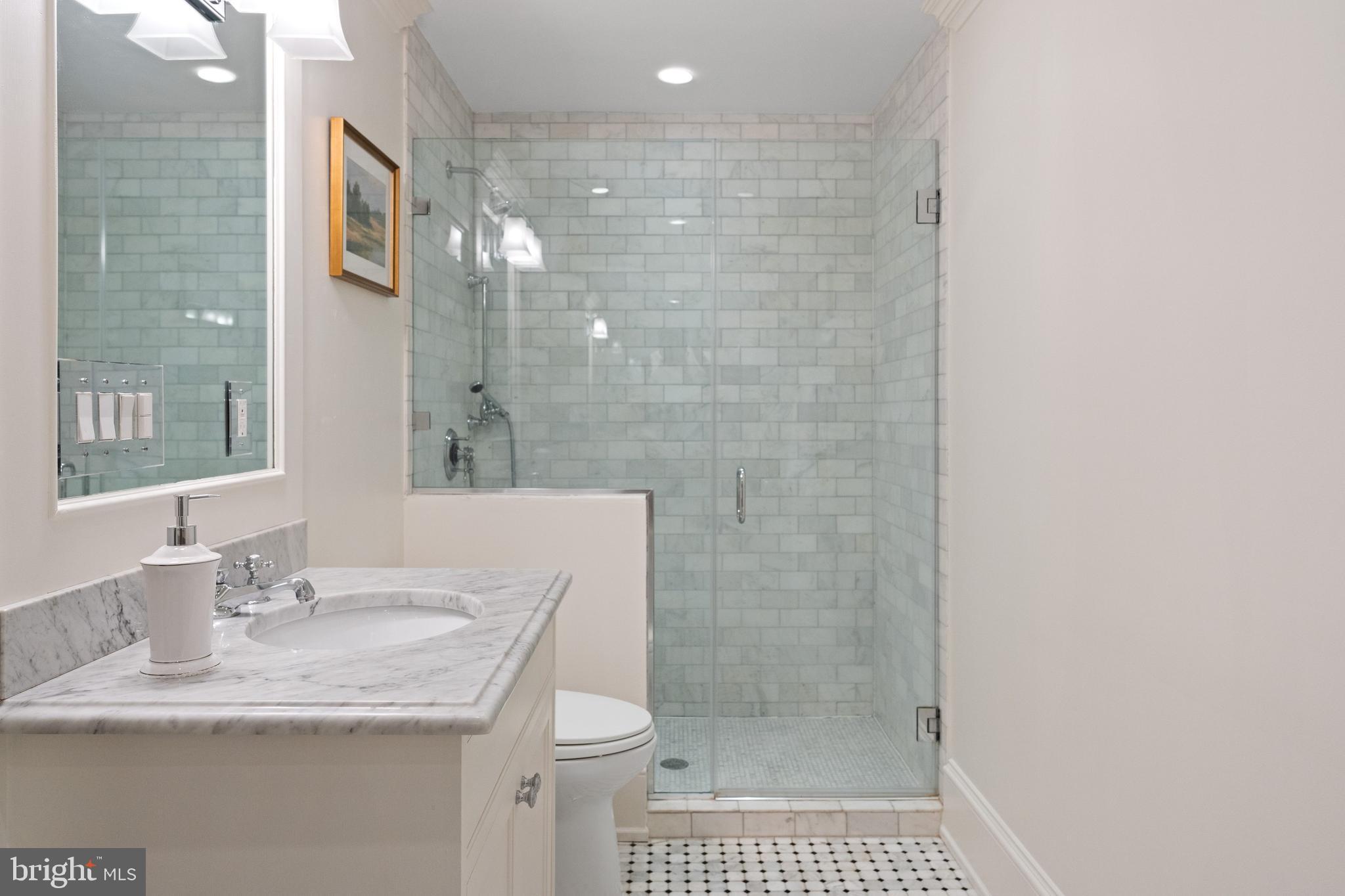 1726 Hoban Road Northwest Washington, DC 20007 - Photo 28 of 39 a bathroom with a sink a toilet and shower