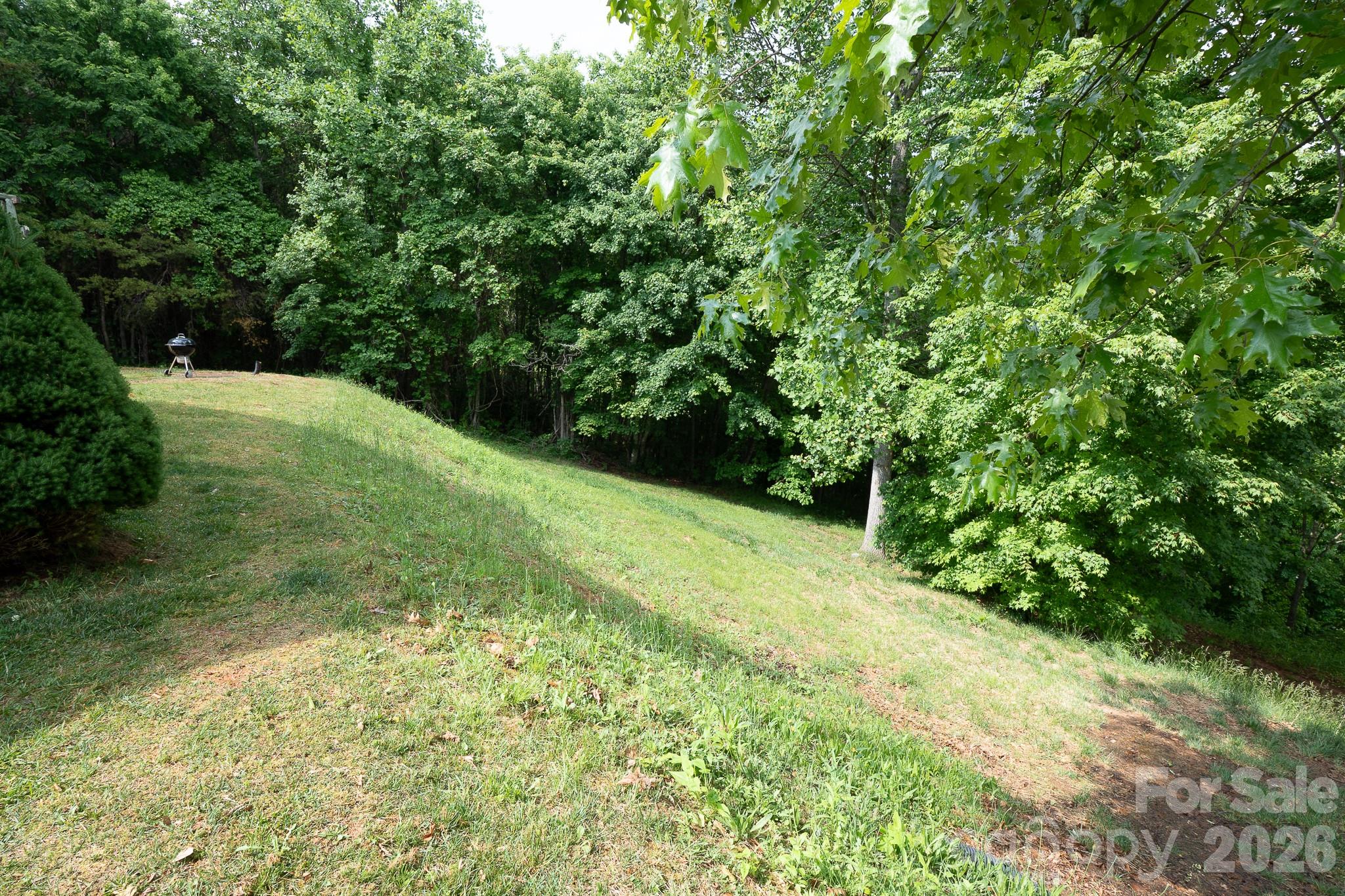 451 Rustic Ridge Drive Canton, NC 28716 - Photo 36 of 44 a view of a yard with plants