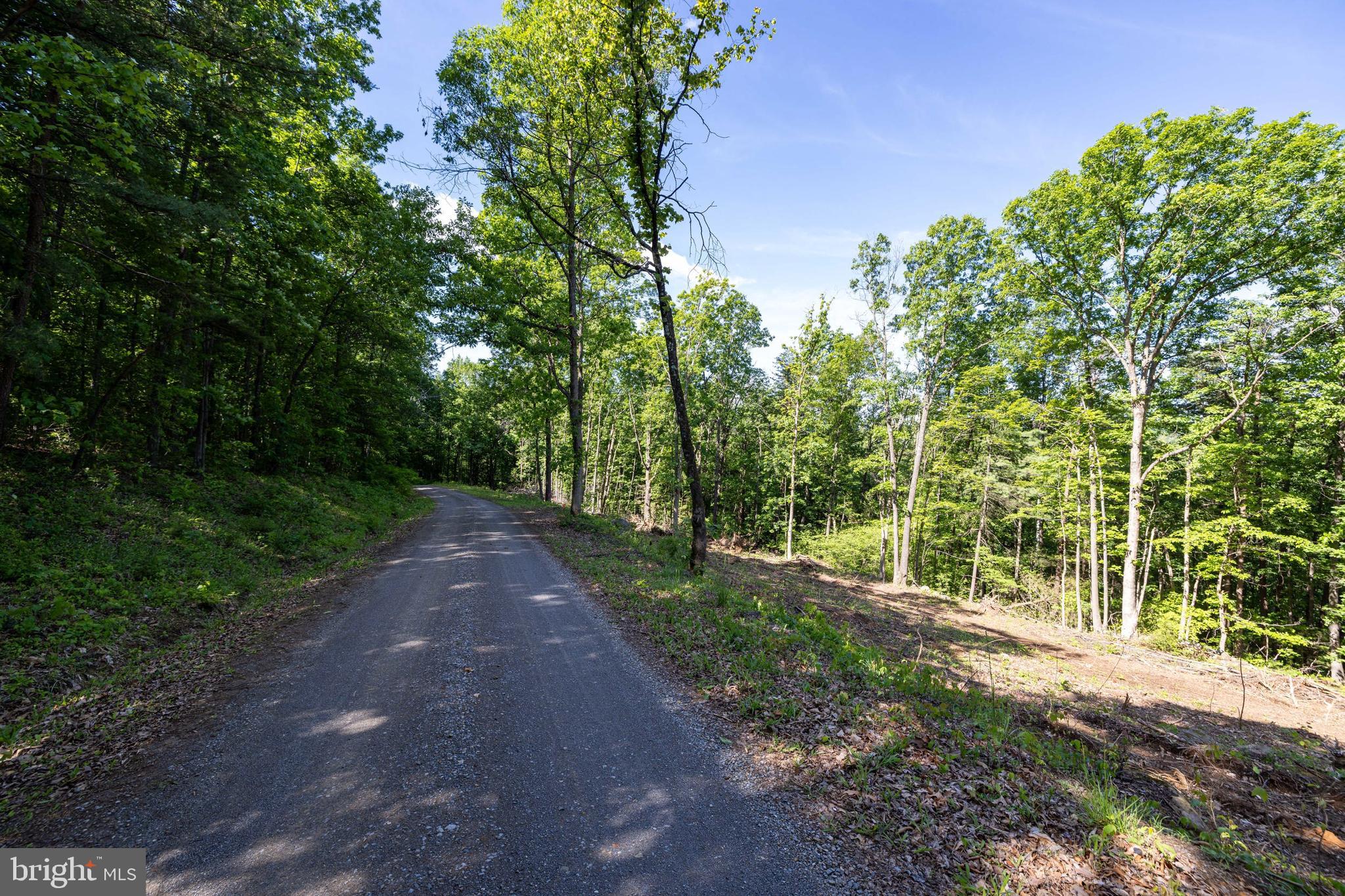 0 Cross Mountain Road Luray, VA 22835 - Photo 37 of 51