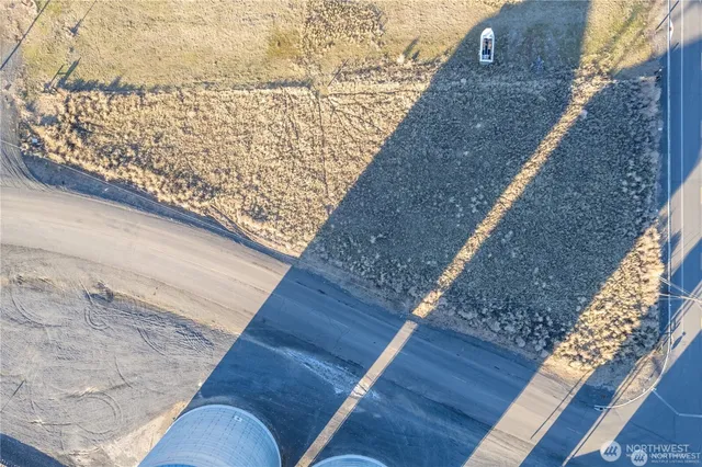 a view of a dry yard with wooden fence