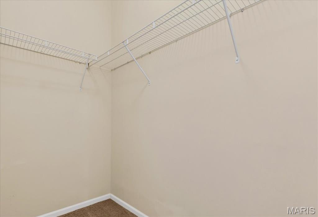 29 Kassebaum Lane, Unit 304 St. Louis, MO 63129 - Photo 25 of 30