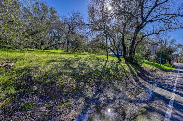 a view of a yard with a tree