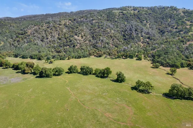 a view of a field with an ocean