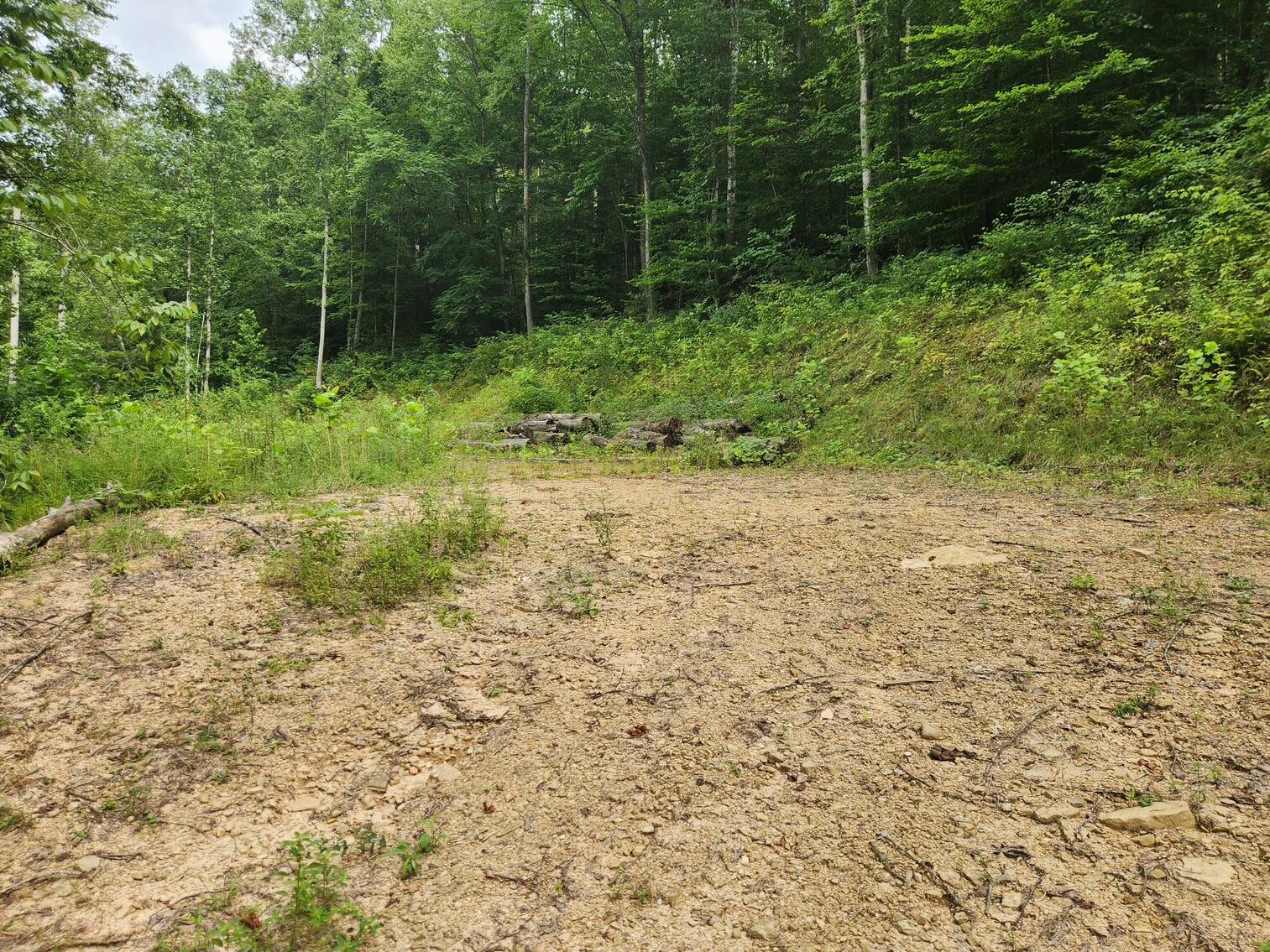 170 Birch Hollow Road Stanton, KY 40380 - Photo 15 of 25
