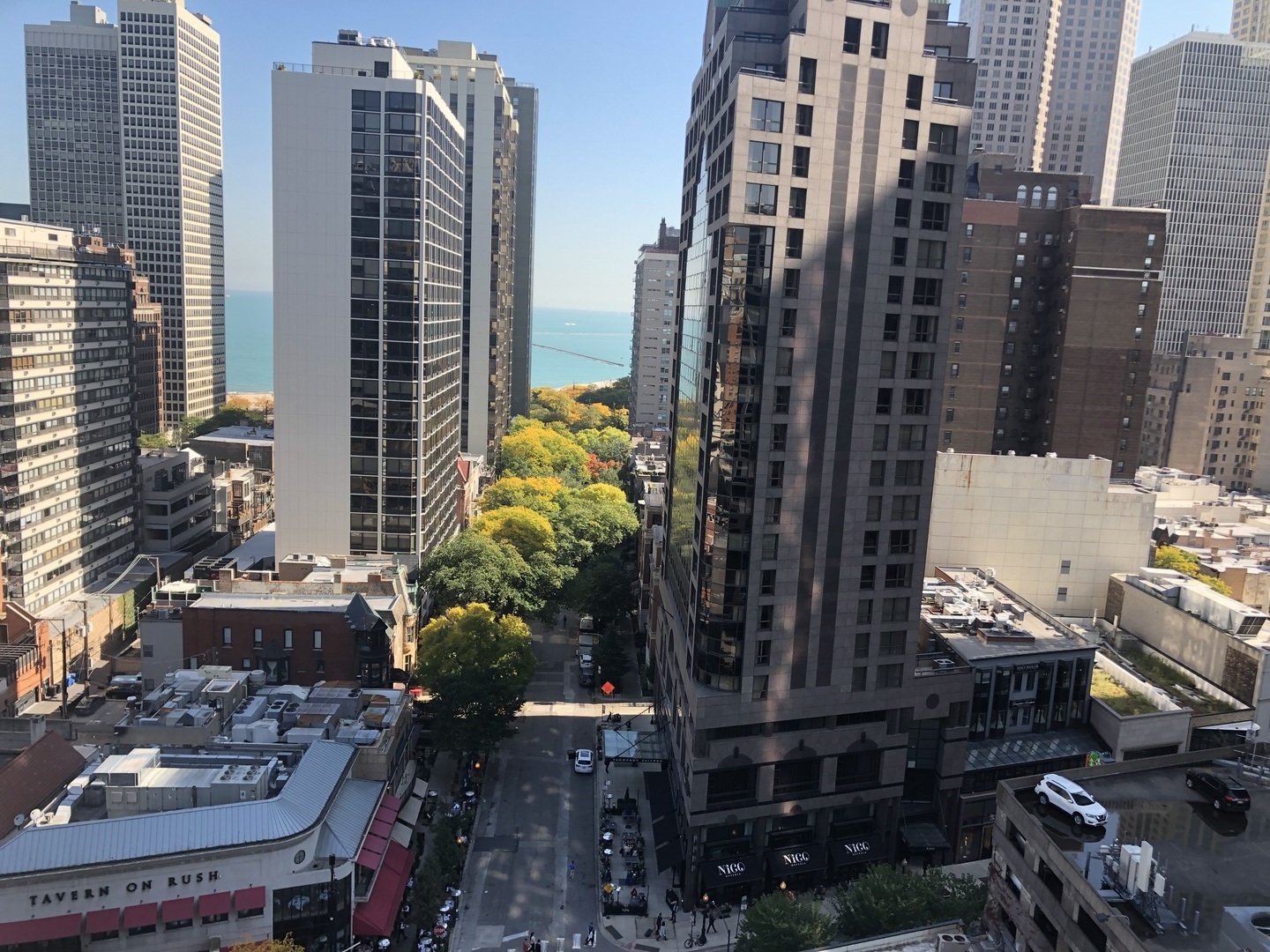 1030 North State Street, Unit 11G Chicago, IL 60610 - Photo 13 of 23 a city view with tall buildings