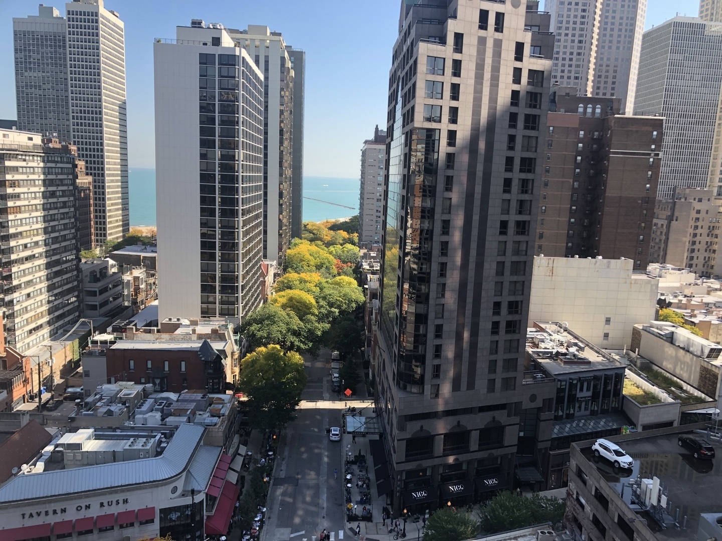1030 North State Street, Unit 11G Chicago, IL 60610 - Photo 14 of 23 a city view with tall buildings