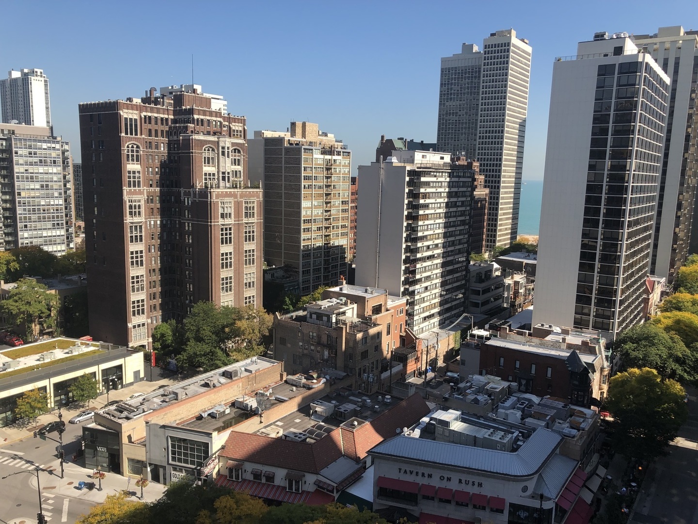 1030 North State Street, Unit 11G Chicago, IL 60610 - Photo 15 of 23 a view of a city with tall buildings