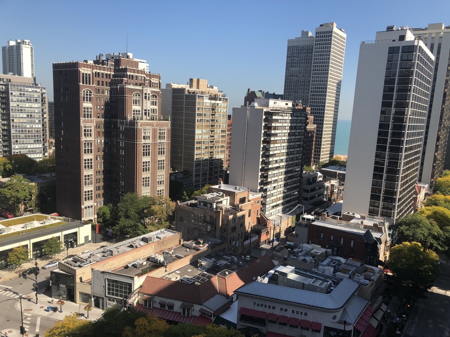 1030 North State Street, Unit 11G Chicago, IL 60610 - Photo 16 of 23 a view of city with tall buildings