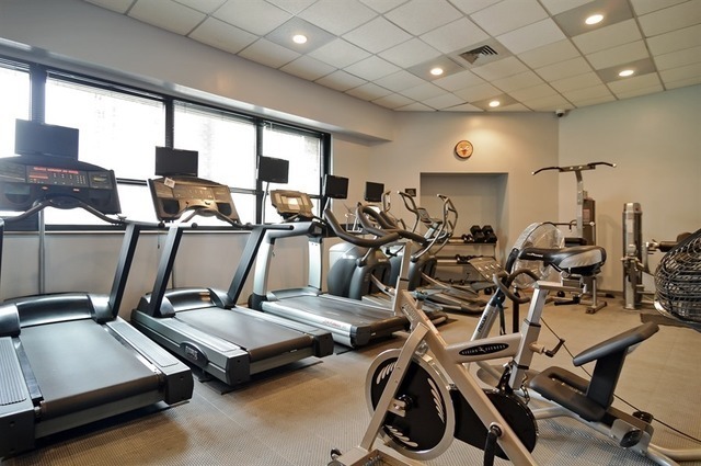 1030 North State Street, Unit 11G Chicago, IL 60610 - Photo 3 of 23 a room with gym equipment and windows