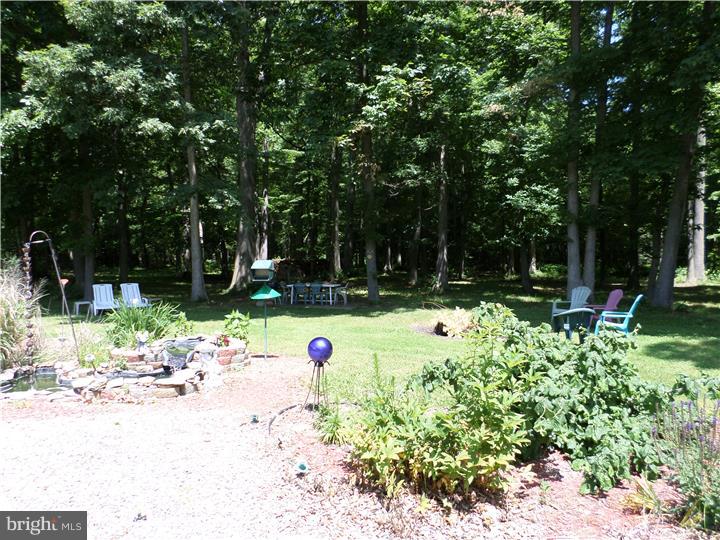 895 Dyke Branch Road Dover, DE 19901 - Photo 21 of 25 Back Yard