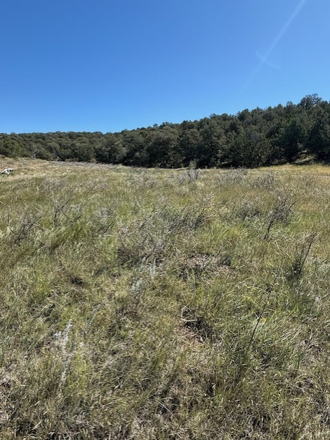 0 Edgewood Edgewood, NM 87015 - Photo 1 of 4