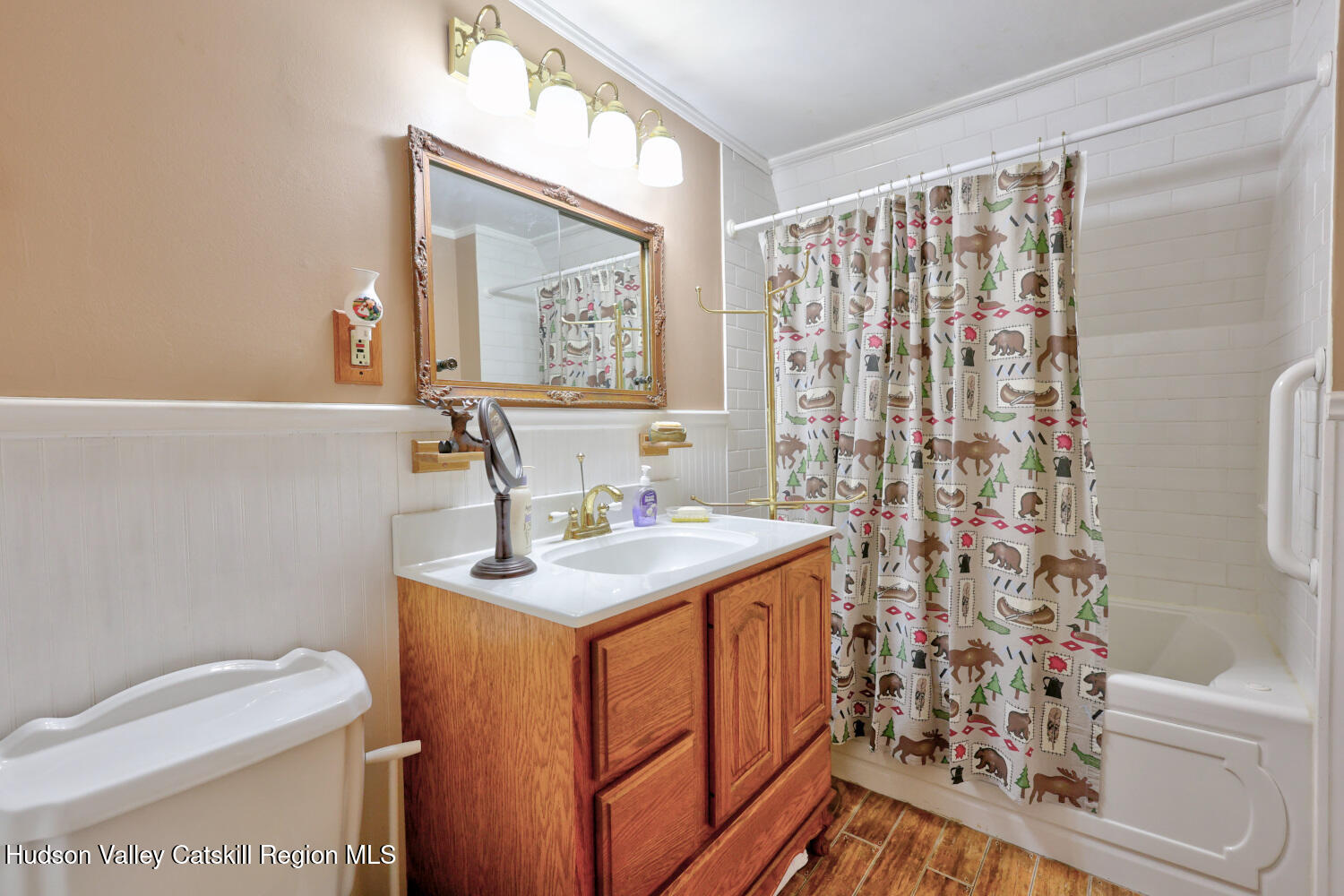 61 Joel M Austin Road Catskill, NY 12413 - Photo 47 of 83 9zl