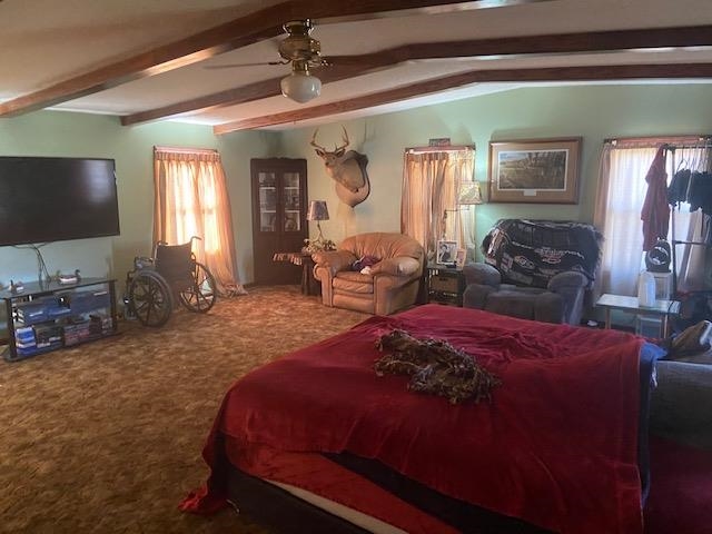 23479 Kraatz Road Thompsonville, IL 62890 - Photo 9 of 21 Gallery Image 9