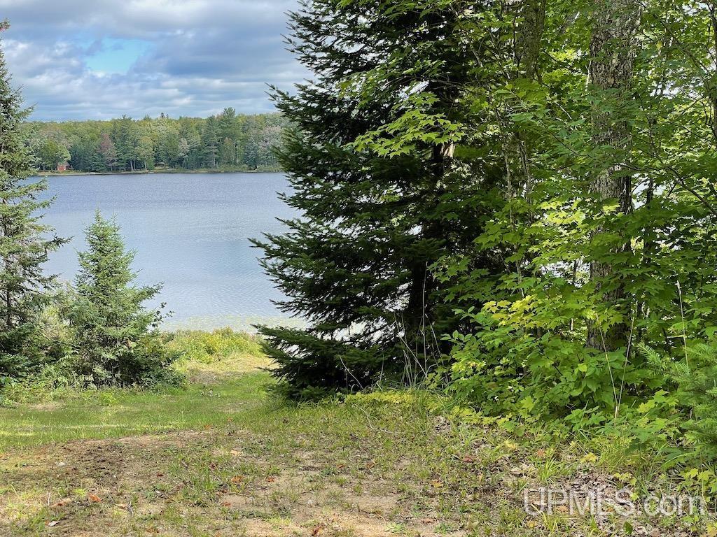 47-13 Carpenter Lake Road Seney, MI 49883 - Photo 1 of 18