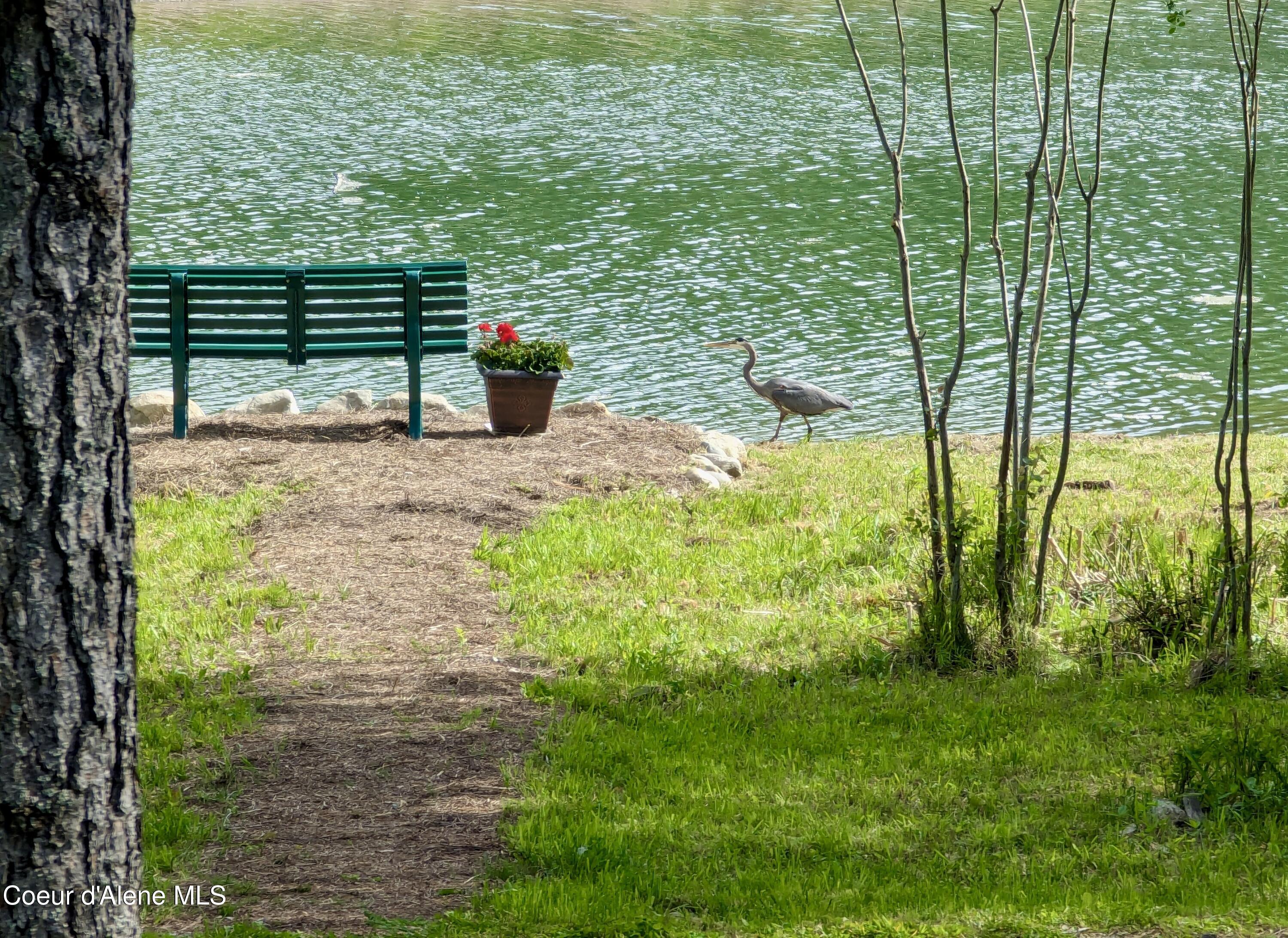 891 Ames Way Dover, ID 83825 - Photo 3 of 78 3 Blue Herron 2