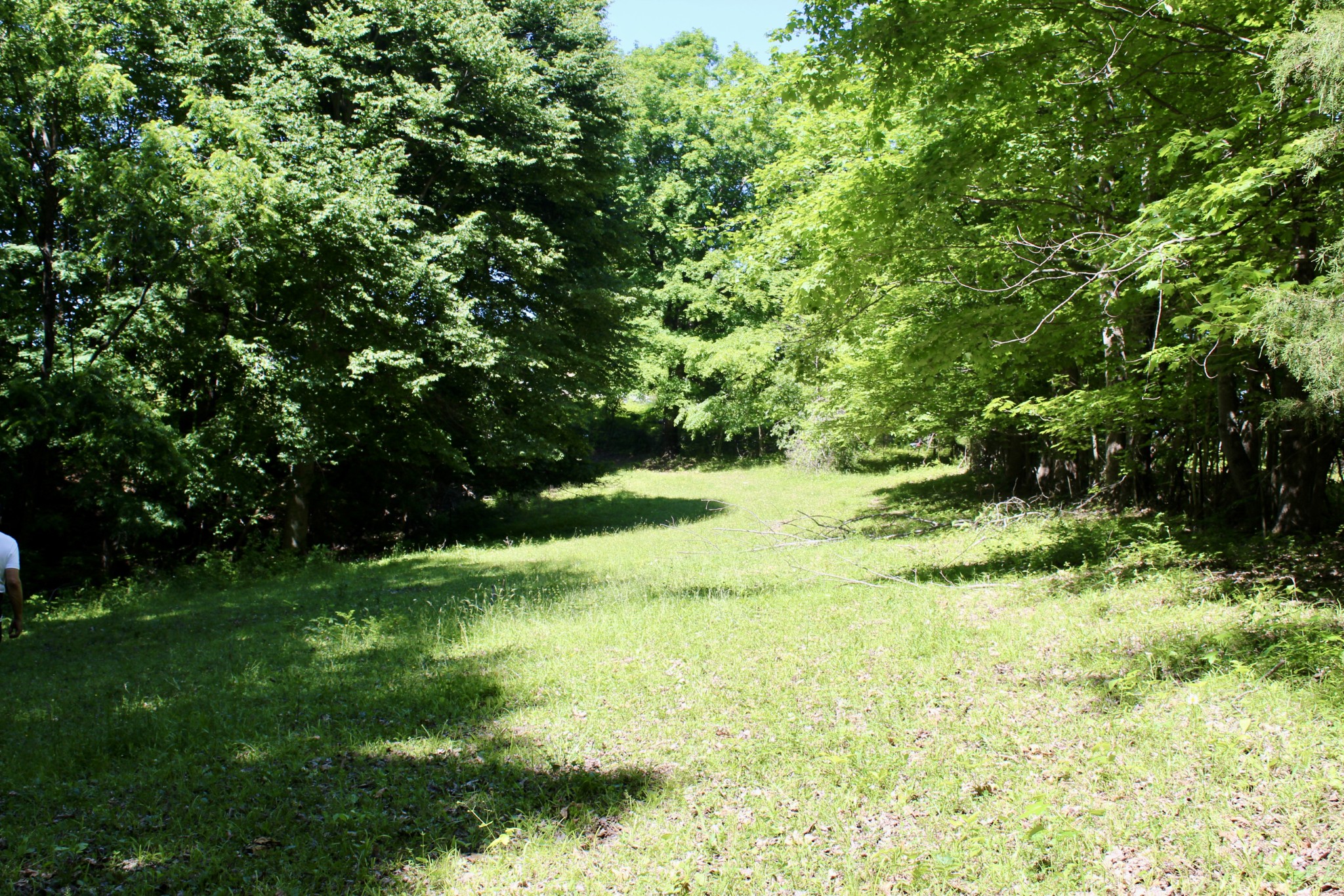 0 Hall Road Greenbrier, TN 37073 - Photo 23 of 28 a view of yard with green space