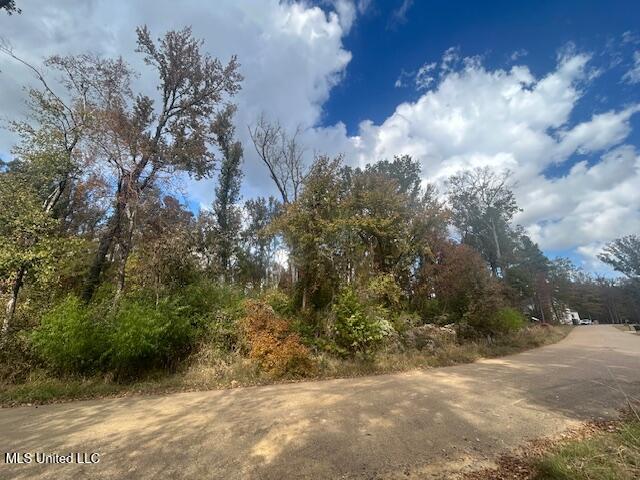 Lot 3 Bridgewater Bend Ridgeland, MS 39157 - Photo 2 of 2 IMG_8920