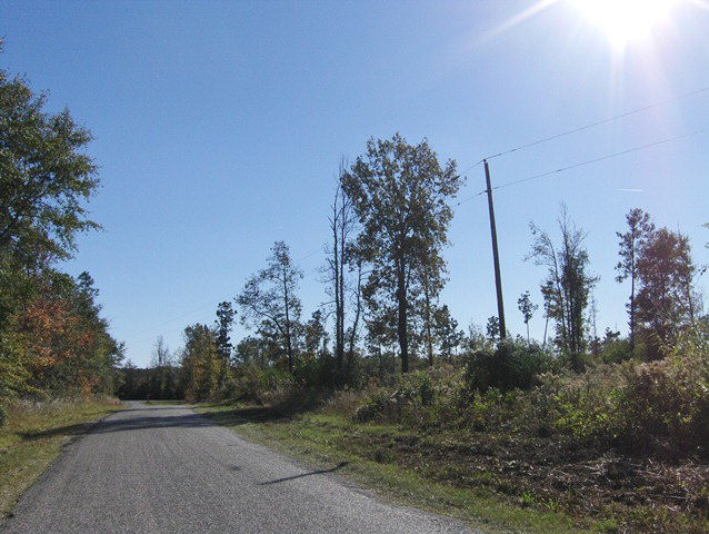 0 West Reservoir Road Columbia, MS 39429 - Photo 1 of 1 Main View