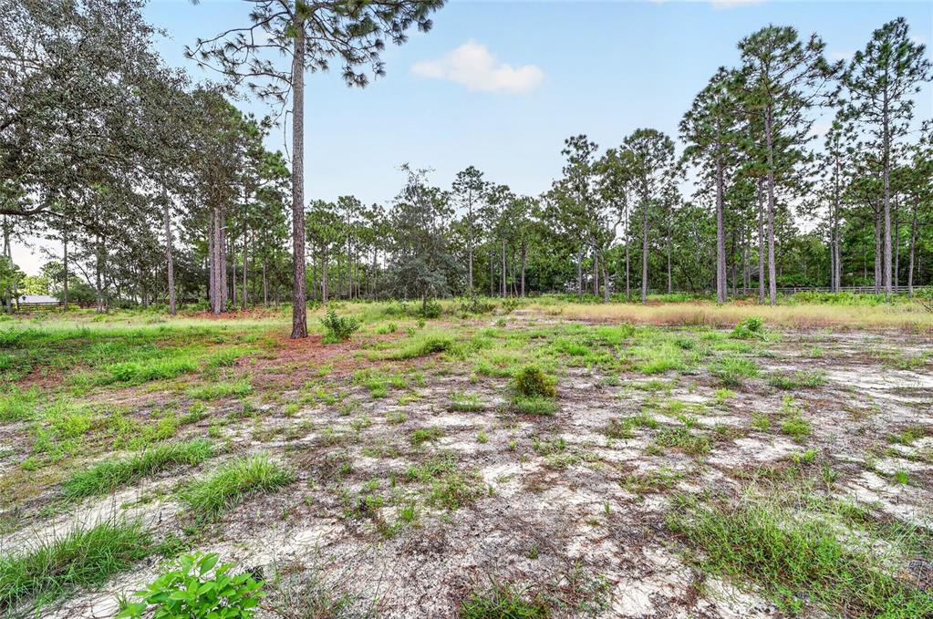 4295 North Bridge Road Beverly Hills, FL 34465 - Photo 48 of 54 Gallery Image 48