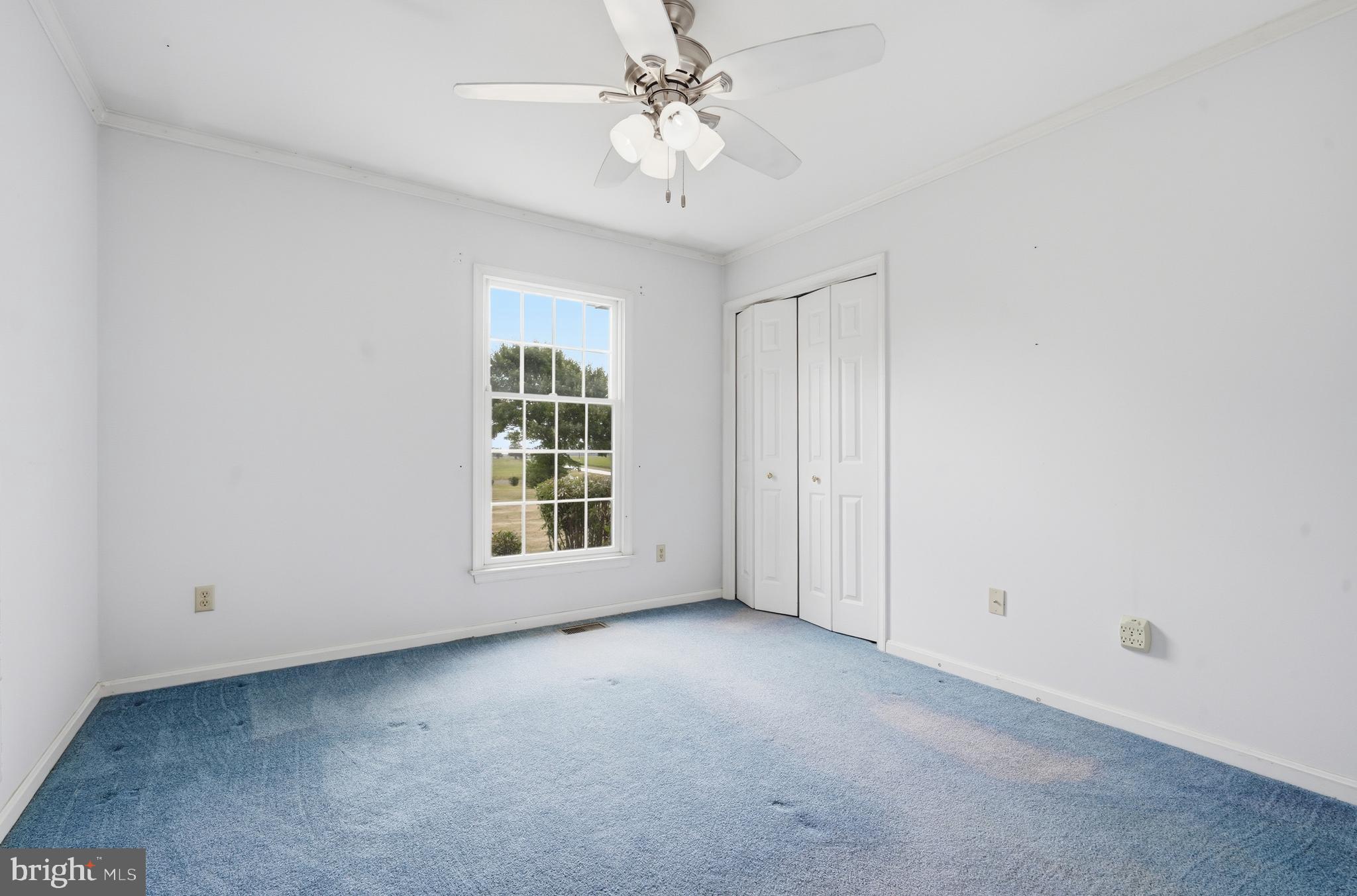 30050 Beaver Dam Road Trappe, MD 21673 - Photo 27 of 41