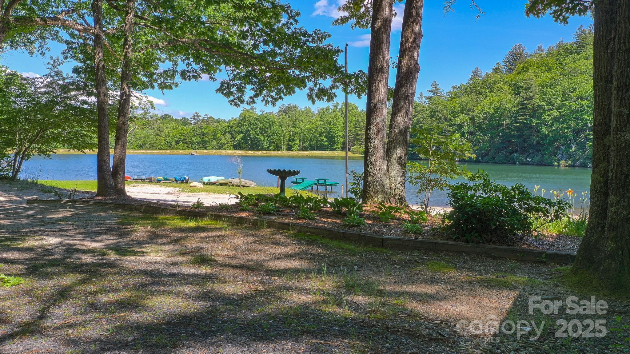Tbd High Acrs Road Spruce Pine, NC 28777 - Photo 20 of 21 a view of a backyard with plants and large trees