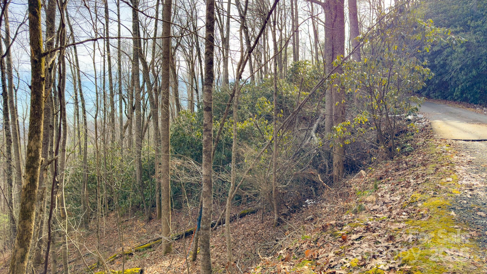 Tbd High Acrs Road Spruce Pine, NC 28777 - Photo 4 of 21 a view of a yard with plants and trees