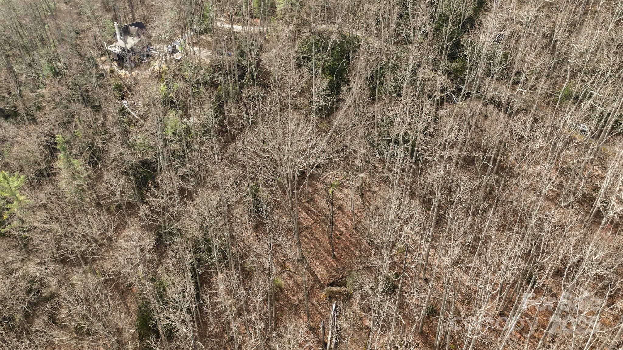Tbd High Acrs Road Spruce Pine, NC 28777 - Photo 7 of 21 a view of a yard