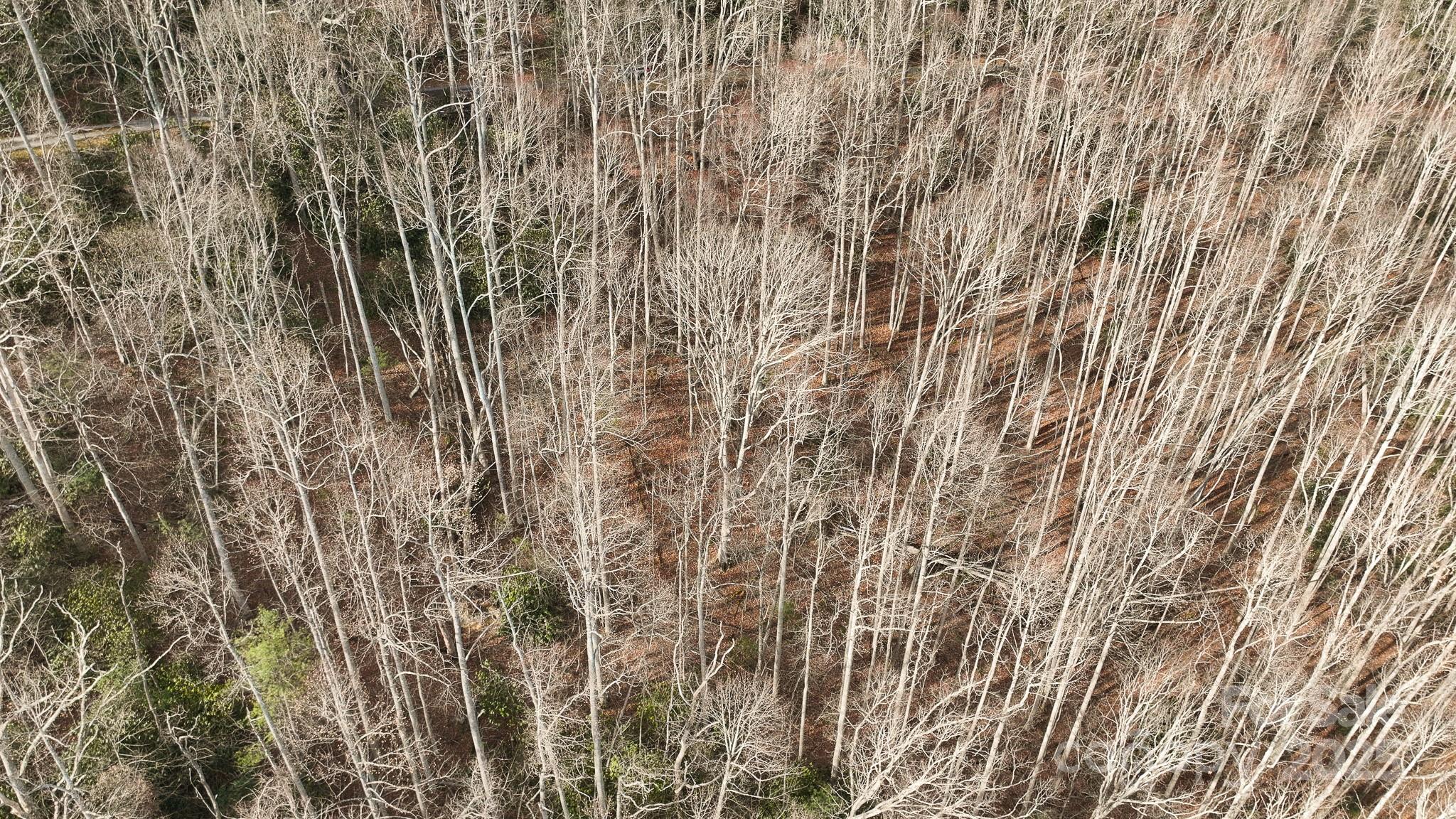 Tbd High Acrs Road Spruce Pine, NC 28777 - Photo 8 of 21