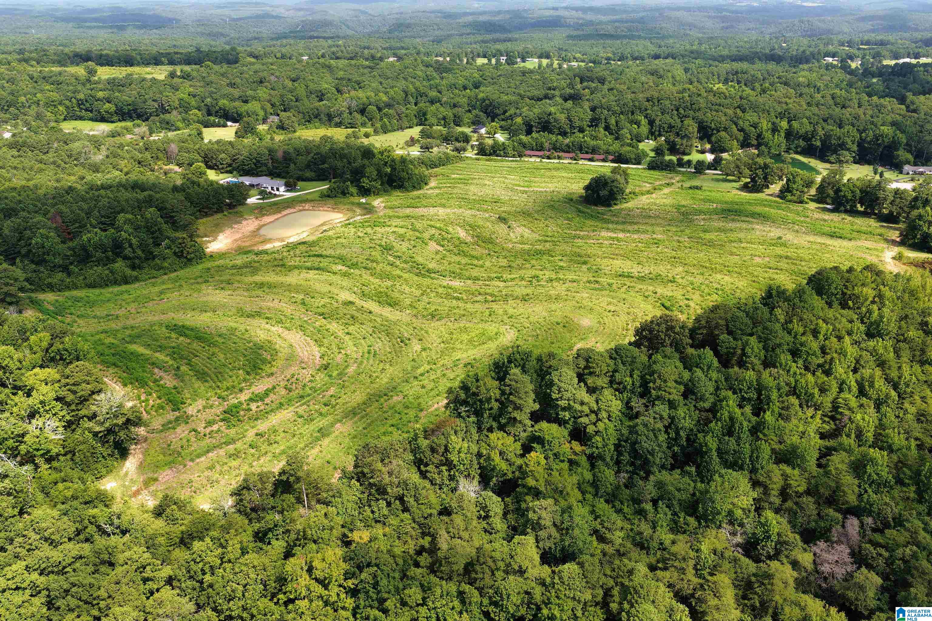 0 County Highway 27, Unit 47 Springville, AL 35146 - Photo 51 of 53