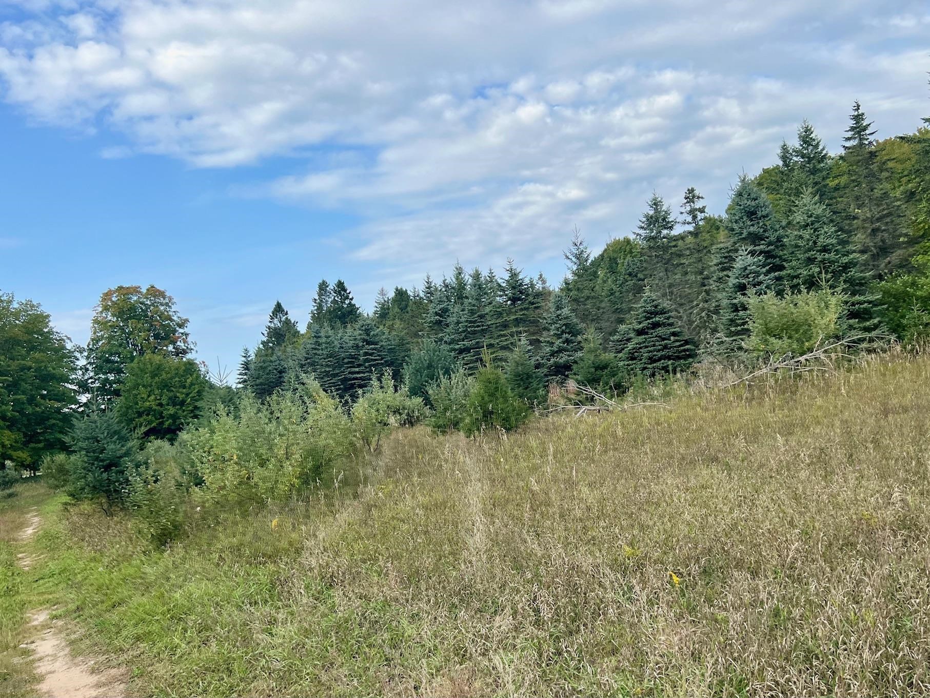 0 Skinner Road Charlevoix, MI 49720 - Photo 12 of 15
