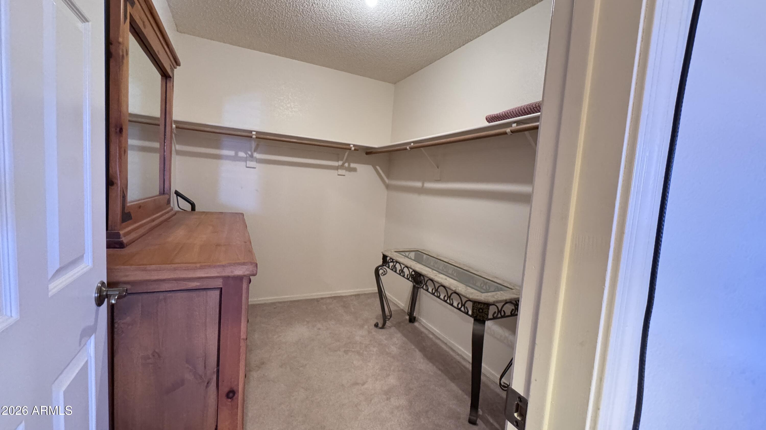 1440 North Idaho Road, Unit 1016 Apache Junction, AZ 85119 - Photo 13 of 22 a view of walk in closet
