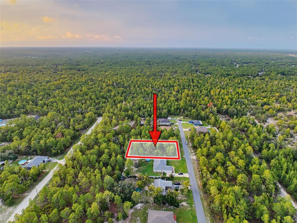 18367 Maberly Road Weeki Wachee, FL 34614 - Photo 7 of 12 Gallery Image 7