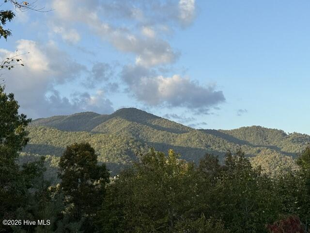 Lot 5 Downings Creek Road Hayesville, NC 28904 - Photo 3 of 11