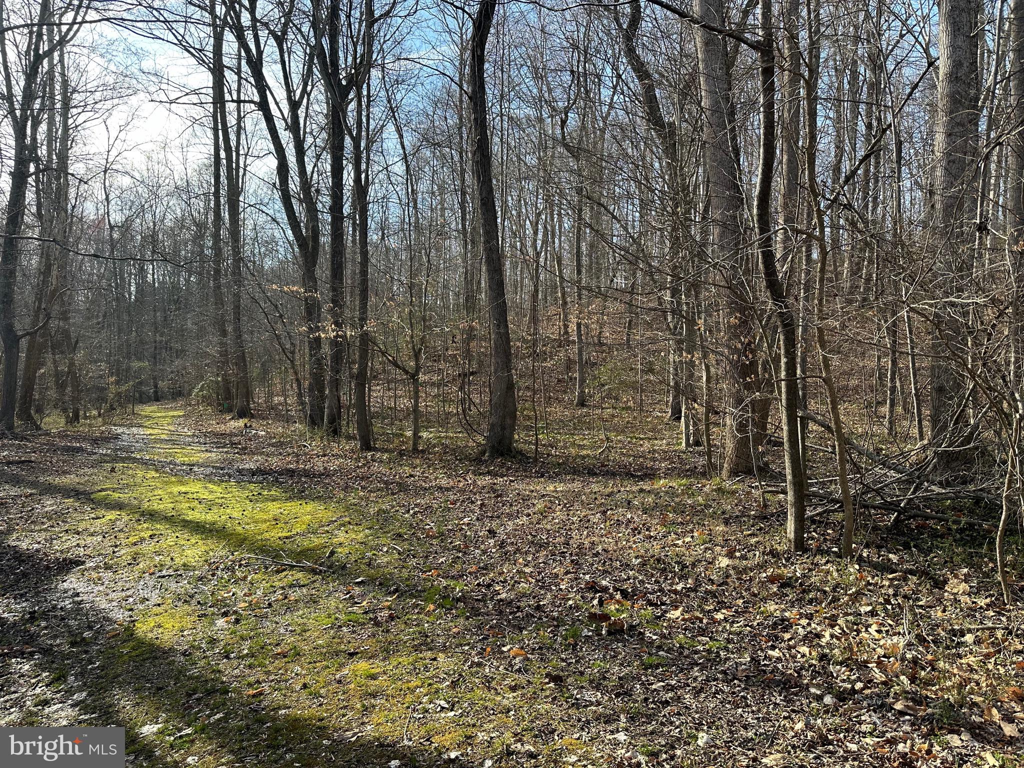 6852 Old Bayside Road Chesapeake Beach, MD 20732 - Photo 1 of 14 a view of outdoor space with trees