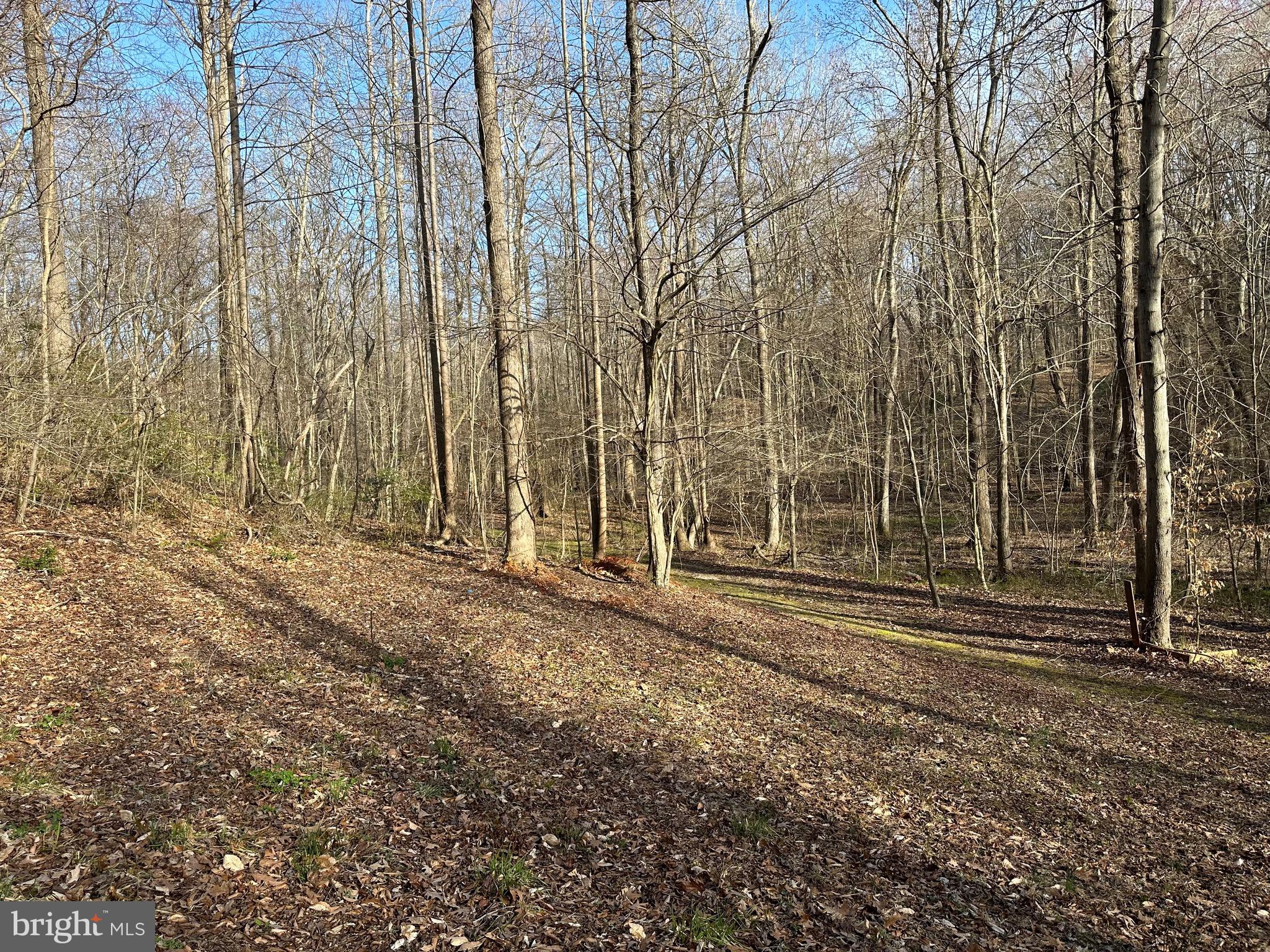 6852 Old Bayside Road Chesapeake Beach, MD 20732 - Photo 3 of 14 a backyard of a house with lots of green space