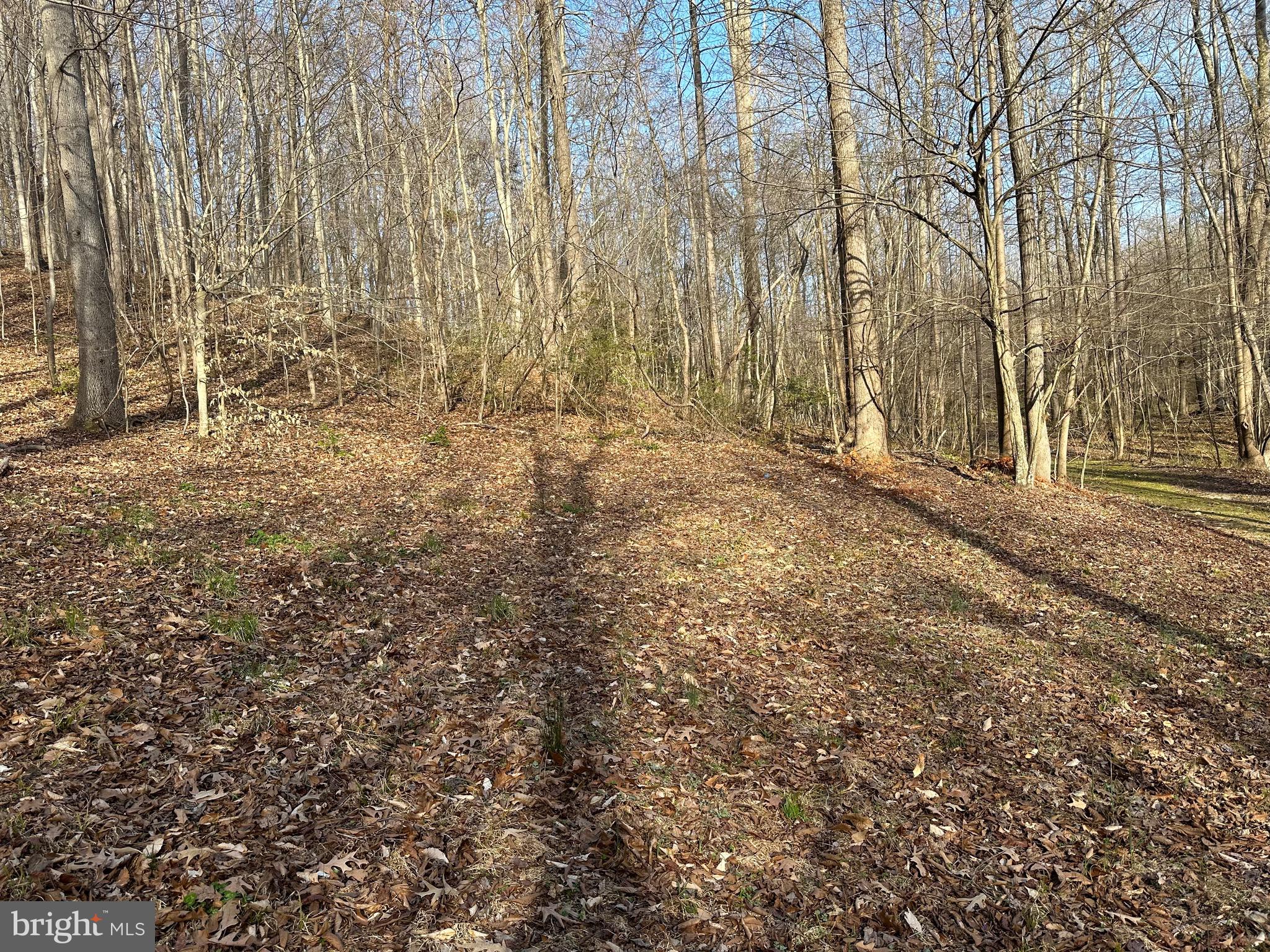 6852 Old Bayside Road Chesapeake Beach, MD 20732 - Photo 5 of 14 a view of backyard with green space