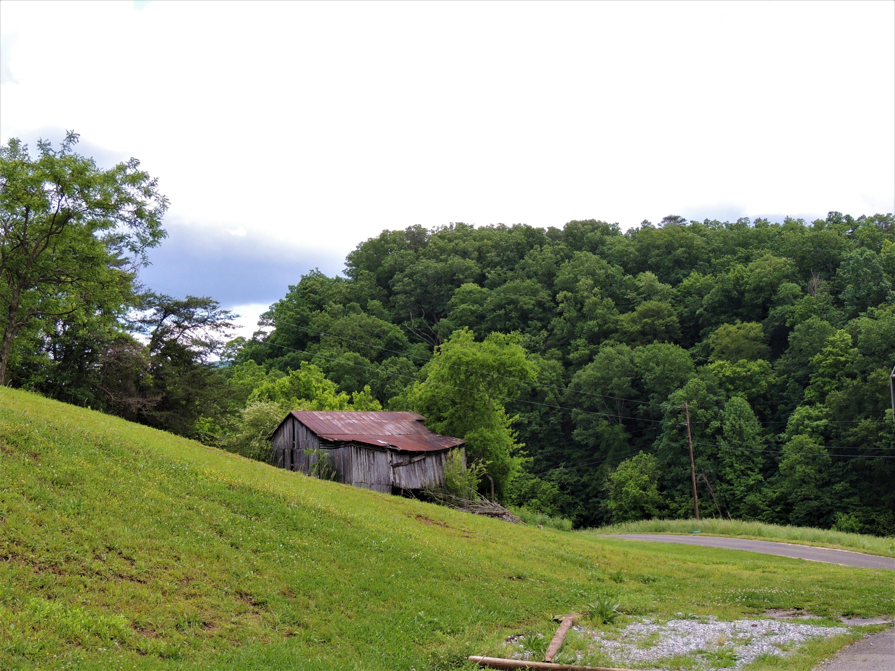 2363 Hall Road Dandridge, TN 37725 - Photo 21 of 21 DSCN8190