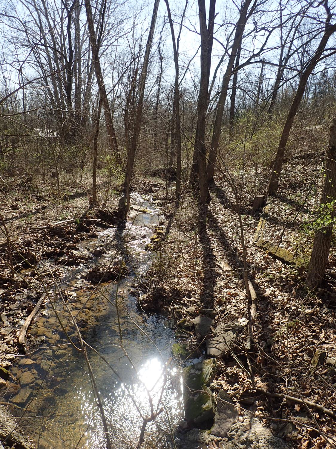 10228 Goose Creek Road Metamora, IN 47030 - Photo 25 of 50