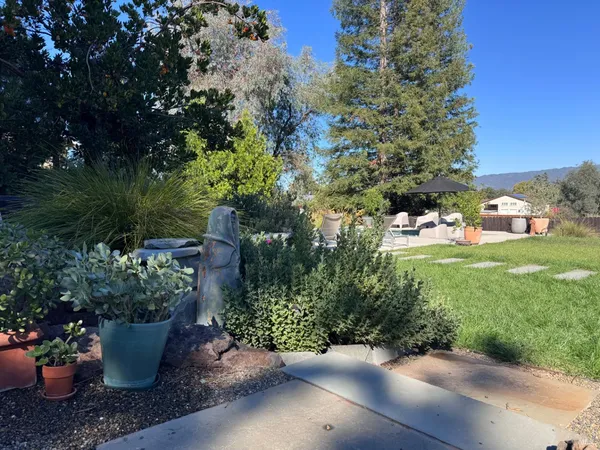 a view of a garden with plants and a bench