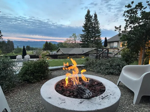 a view of a backyard with plants and tub