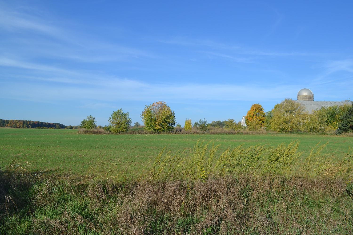 Morrison Road Greenleaf, WI 54126 - Photo 1 of 1 Gallery Image 1