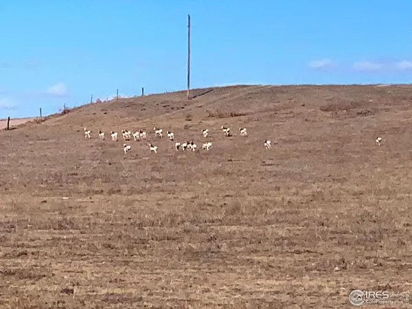 $125,000 | 0 County Road 55, Ault, CO 80610